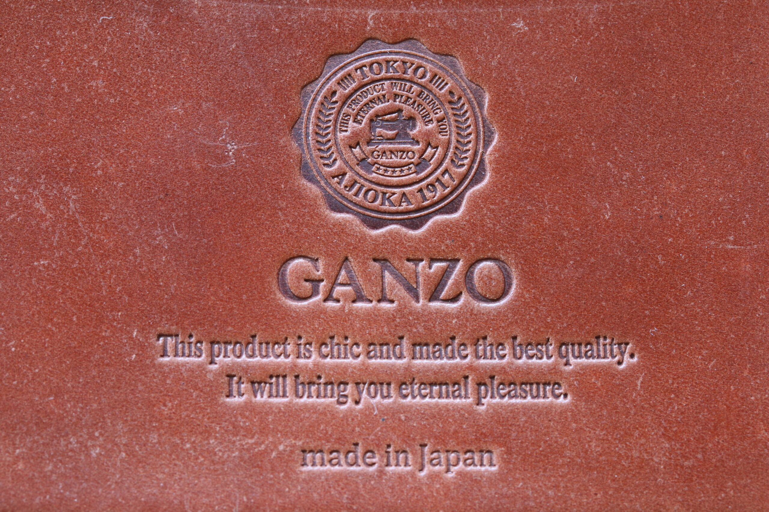 GANZOのロゴマーク